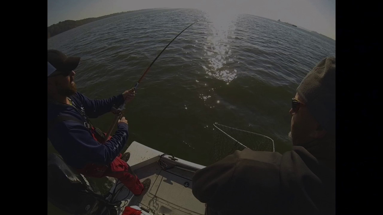 Proper big fish handling! CPR Catch, Photo, Release
