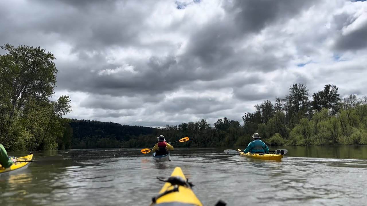 Kayaking Willamette: Independence to Salem