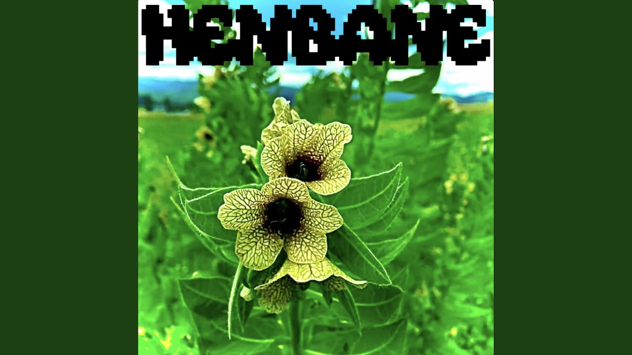 H.E.N.B.A.N.E.