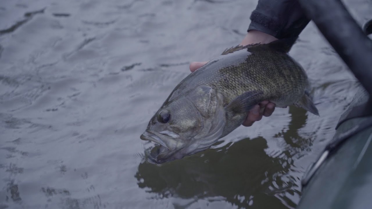 The Shoals | Fly Fishing for Shoal Bass