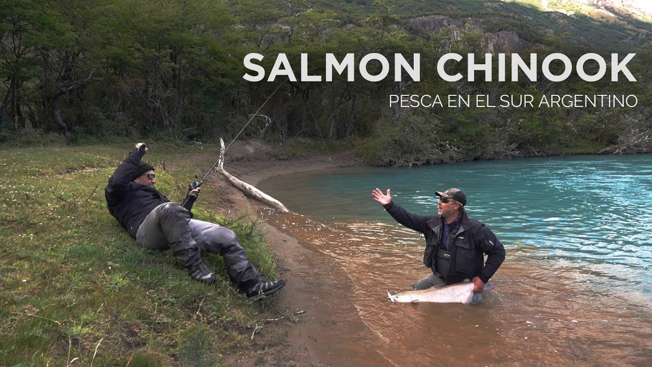 Pesca Salmón Chinook Gigante en el Sur de Argentina. El Chalten , Patagonia