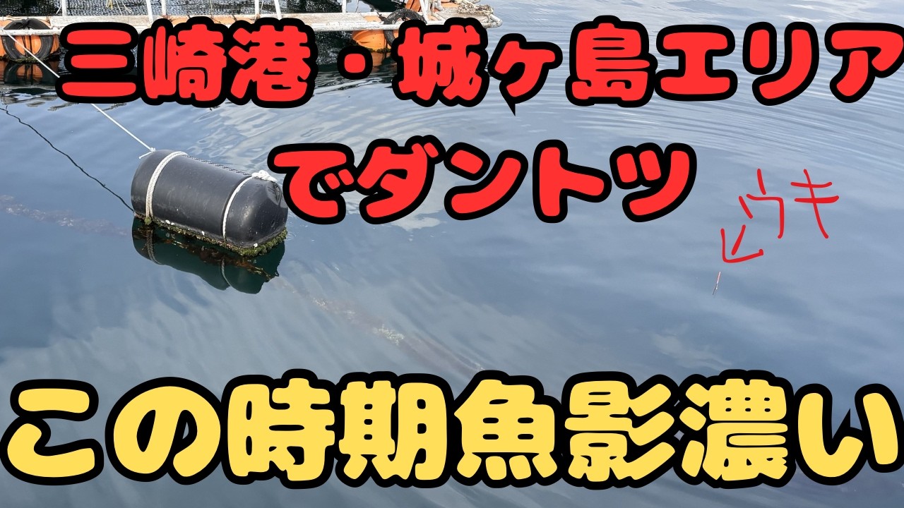 【城ヶ島　海上イケス釣堀】　真下の水中動画　釣りの参考に　超人気釣りスポット