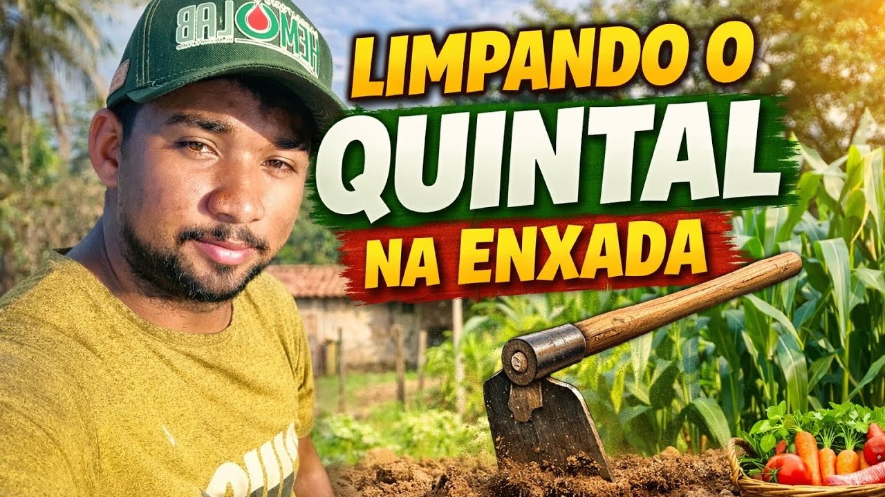Vida Simples na Cidade | Rotina no Quintal 🌿 #rotinadodia #vidasimples #quintal#shotrs #quintal 