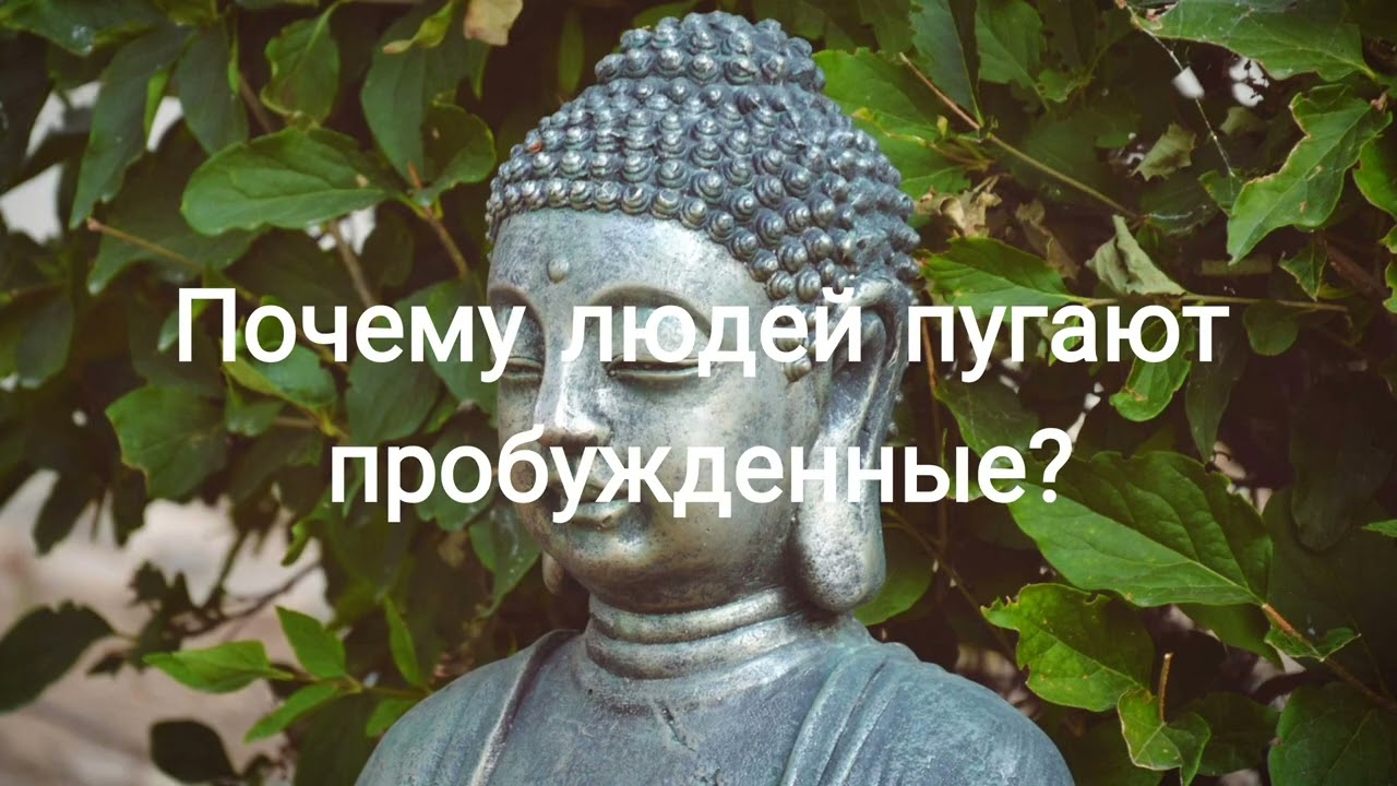 Тебя раздражает не сам Пробужденный - тебя пугает глубина и неуязвимость