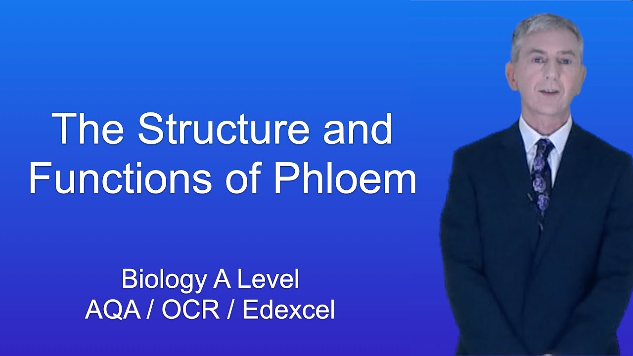 A Level Biology 