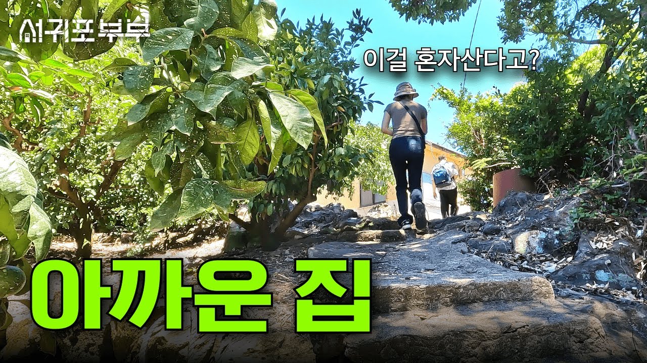둘도 좋긴 해