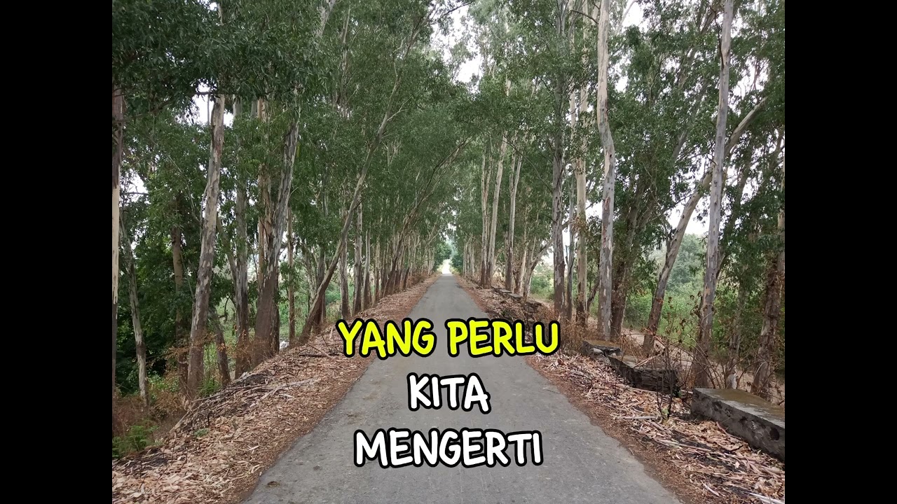 PENYABAR