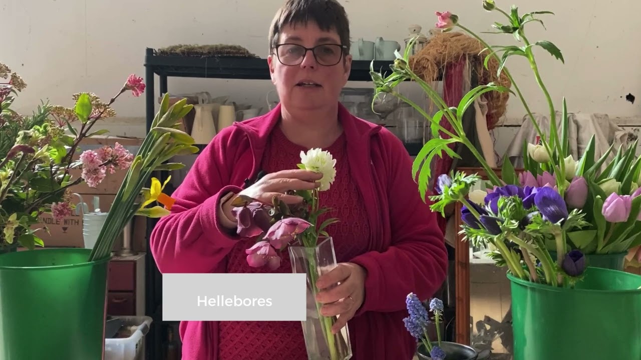 What's available from My SURREY HILLS flower farm in March