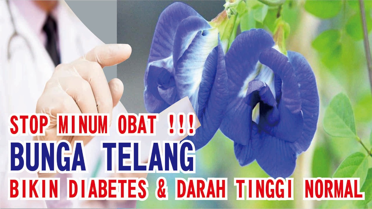 Bunga Biru Ajaib Ini Bikin Jantung Sehat & Kulit Glowing, Tapi Kok Jarang yang Tahu? 💙
