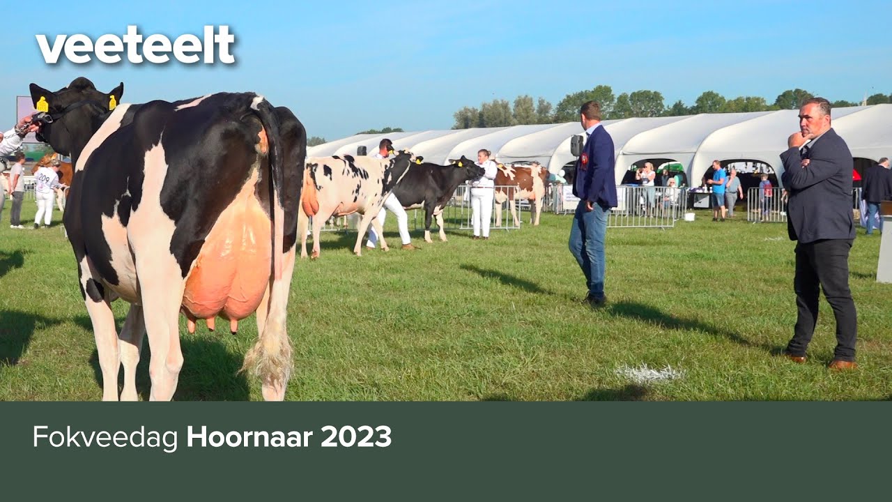 Fokveedag Hoornaar 2023