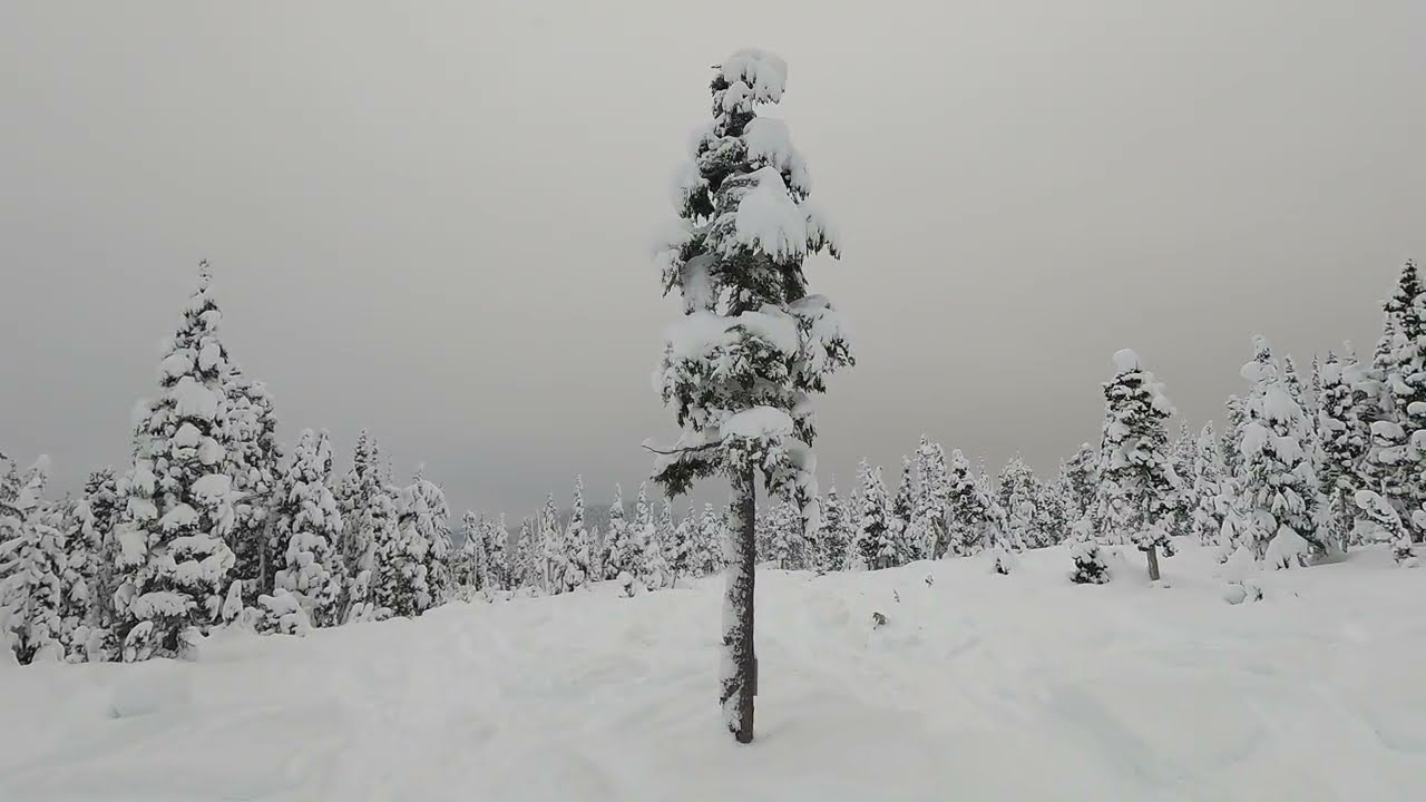 Clague Mountain, Kitimat,  December 21