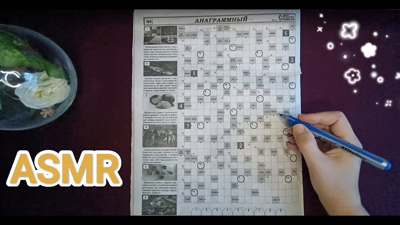 ASMR ✨ crossword puzzle / АСМР 💤 сканворд / шёпот / whisper