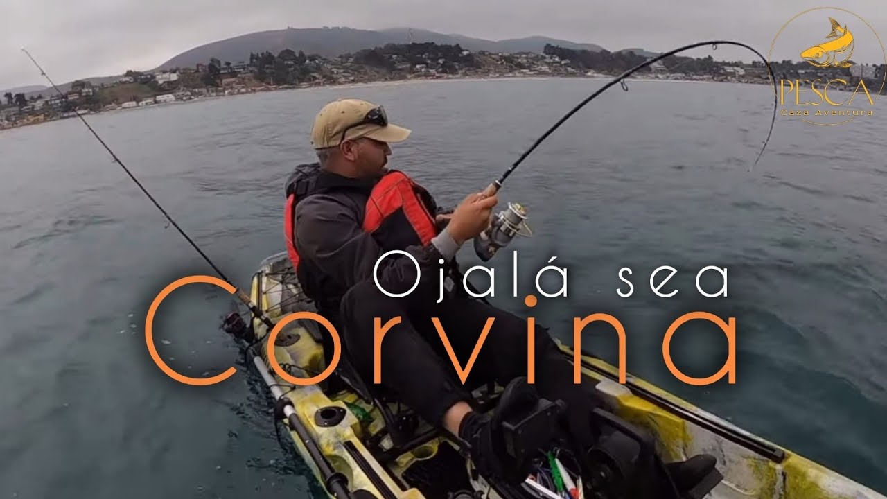Ojalá sea Corvina! - Pesca en kayak en Maitencillo, Chile.