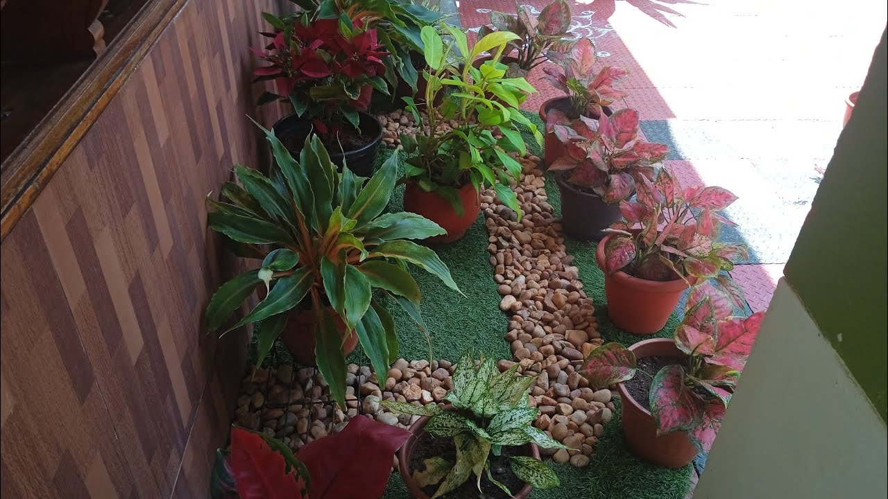 Garden cleening #youtube video 