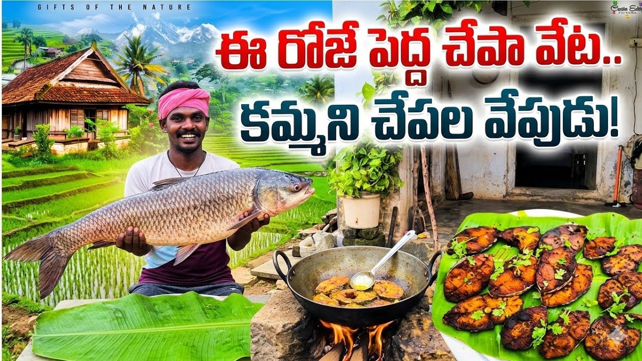 Mass Selection: Cheruvulo Chepalu Pattaru.. Aruna Chepala Vepudu Chesindi! 🎣🐟