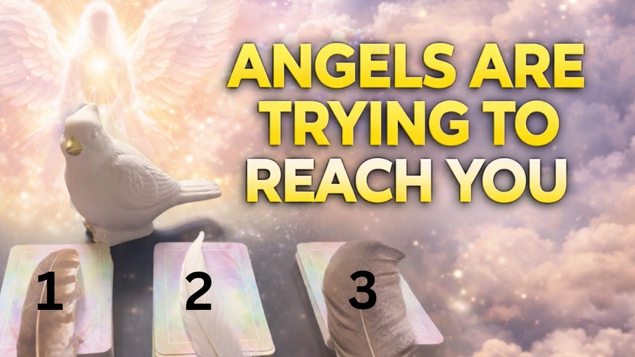 Angel Messages and Numbers for You 🪶 Signs Are Everywhere - Just Trust | Pick a Card