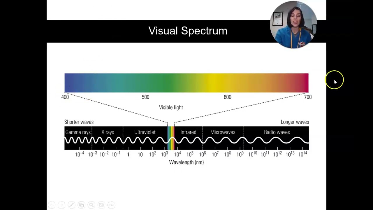 Biopsych: Vision and the Retina