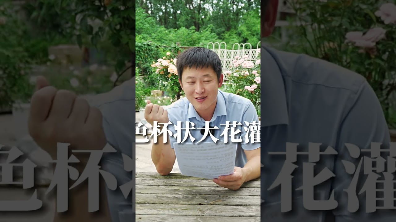 花友想要的月季【天狼说月季】
