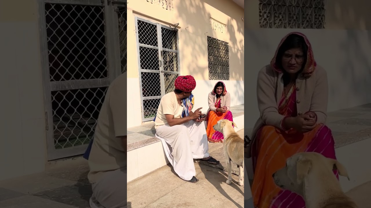 ￼भूरा और बुगली की नोक झोंक 😜