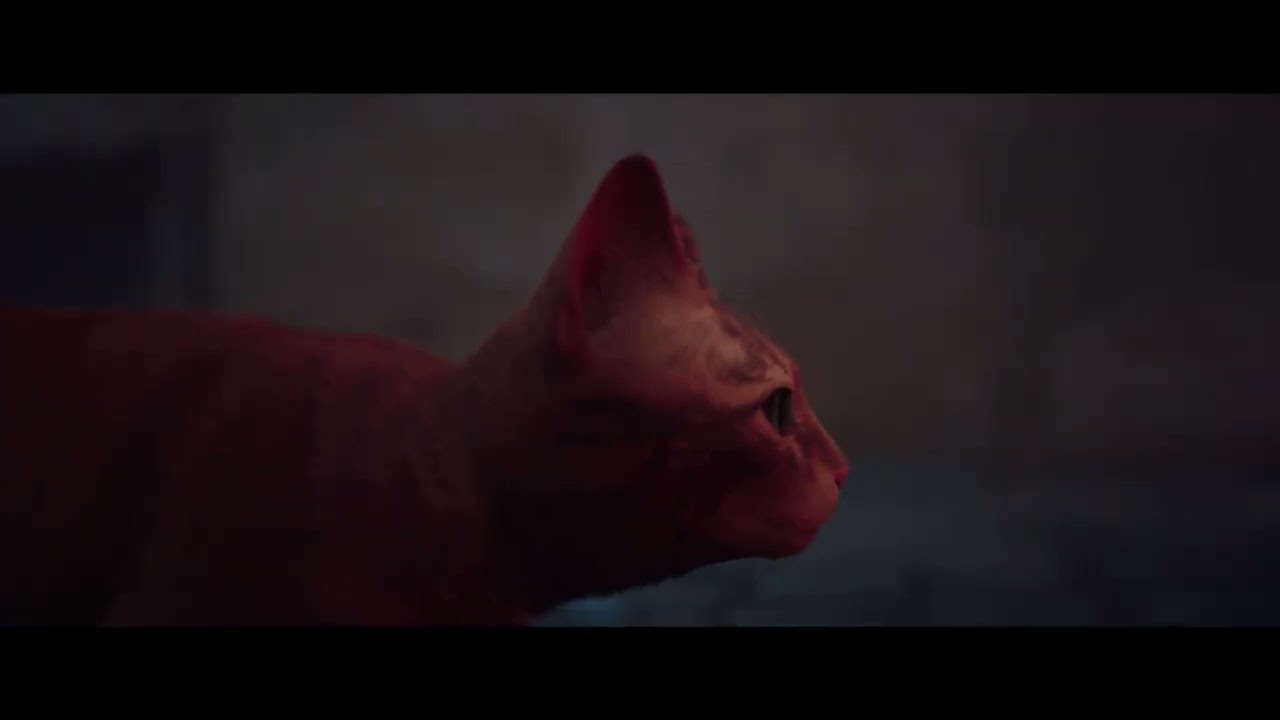 Stray - Chapter 2 Dead City: Dying Robot Scares Cat: Escape the Zurk Swarm Action Set-Piece Gameplay