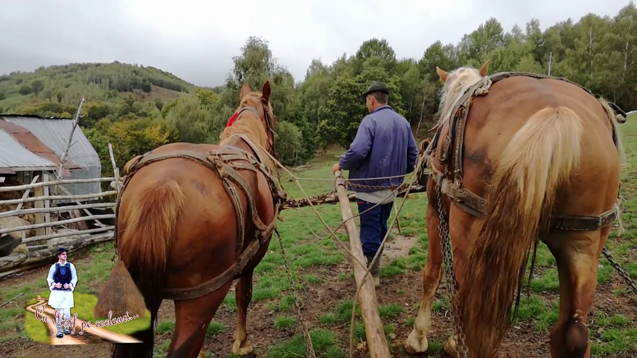 La stana lu' llie Tiron din satul Coșbuc (Hordou), jud. BN