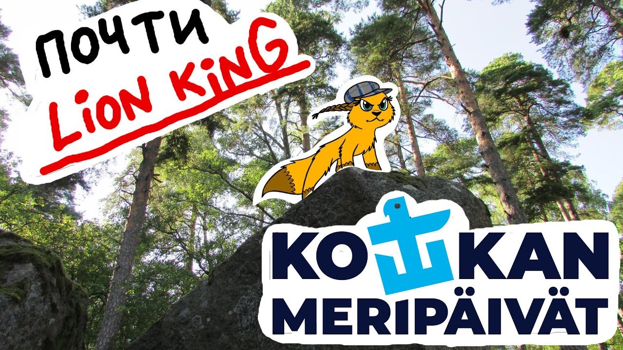 Лисобелка в Котке. Не совсем Король Лев. Kettuorava ja Kotkan Merip&auml;iv&auml;t 2019.