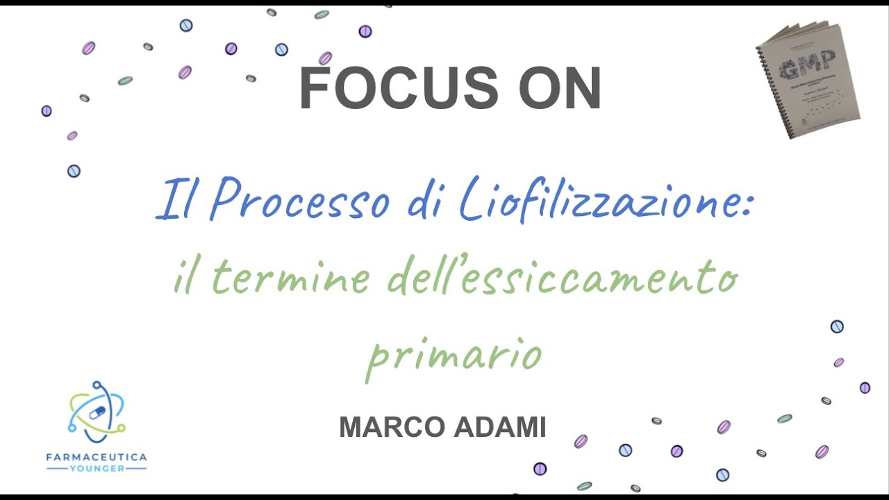 FOCUS ON 
