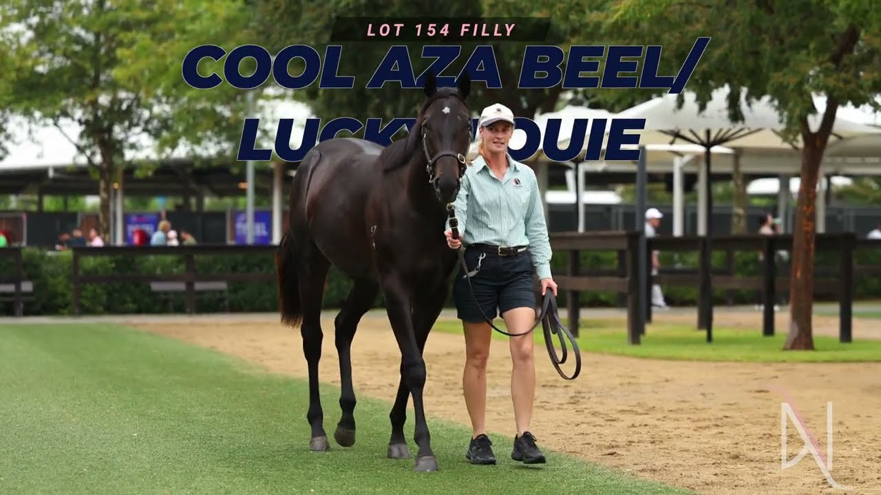 Lot 154 Cool Aza Beel x Lucky Louie