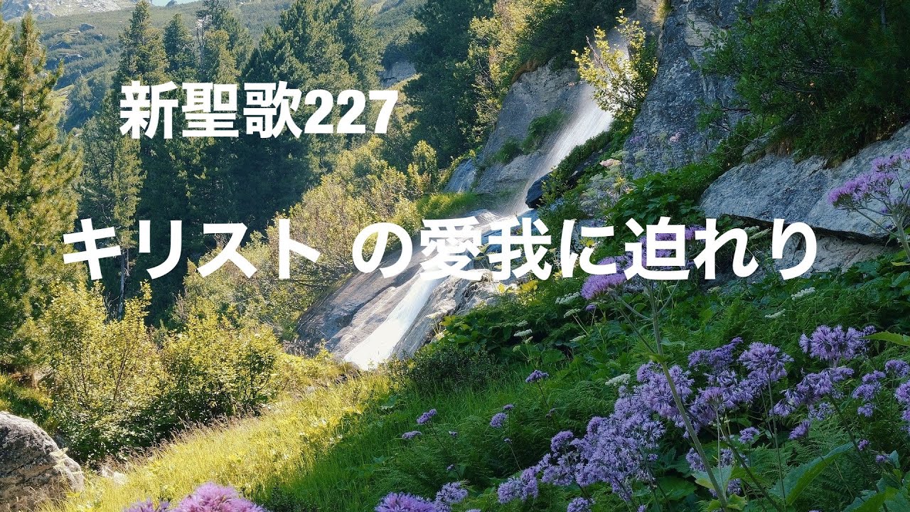 新聖歌227キリスト の愛　我に迫れり