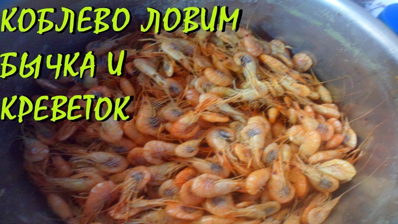 Коблево рыбалка , ловля бычка и креветок