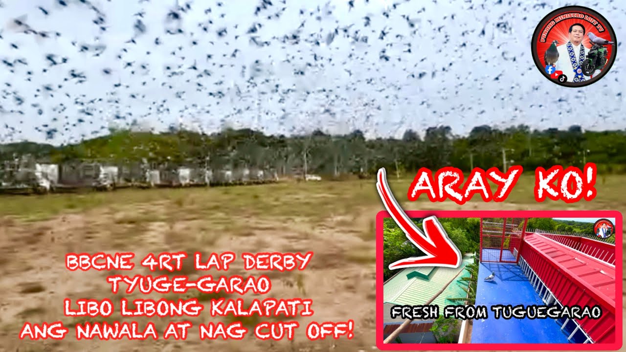 EP1155 LIBO LIBONG KALAPATI ANG NAWALA SA BBC MAIN AT BBCNE 4rt LAP DERBY TUGUEGARAO!
