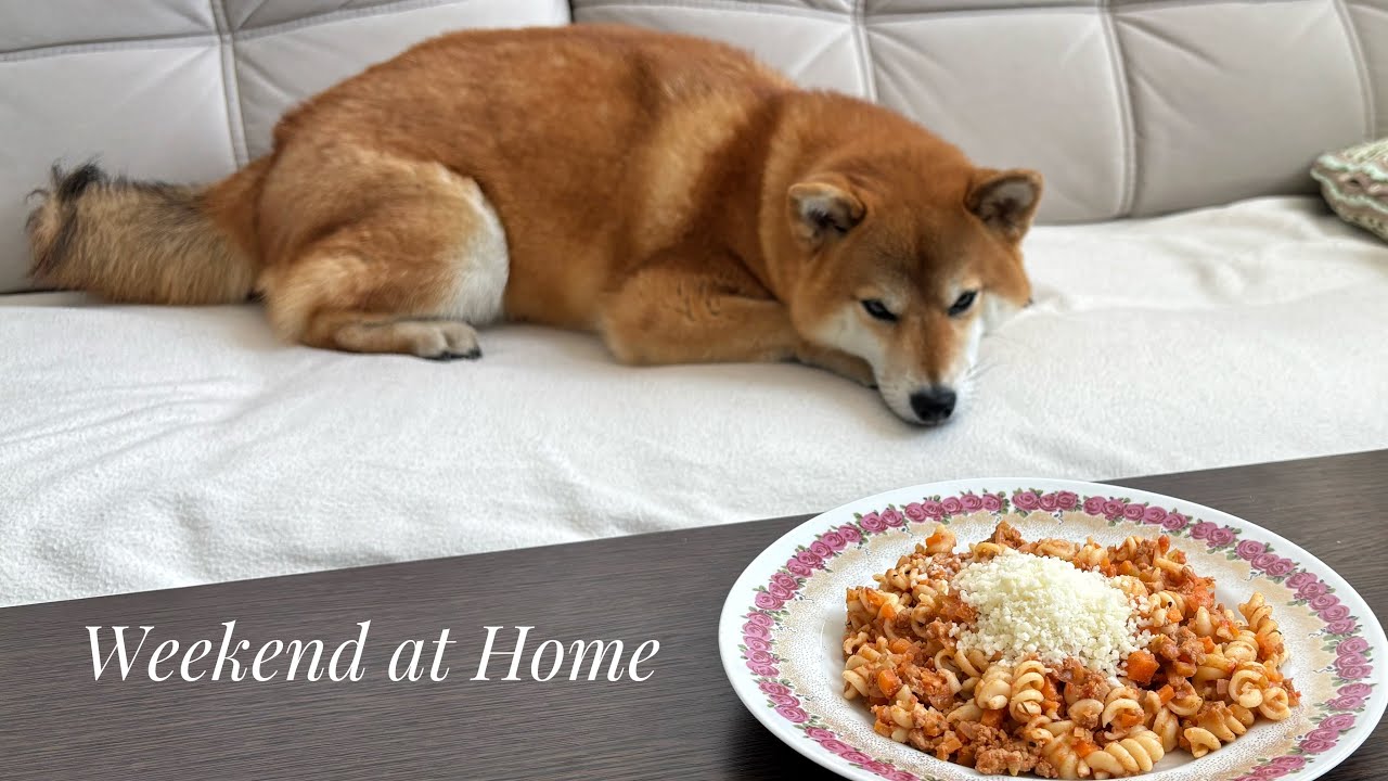 A Cozy Weekend at Home with My Shiba Inu | Cooking Pasta & Making Kimchi