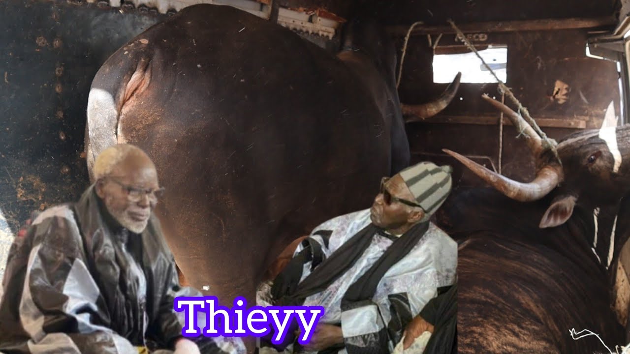 Wajal 3ème Ndogou Adiouma Déballé Adiya Serigne Cheikh Khady Fall ci Serigne Amdy Khady Fall 
