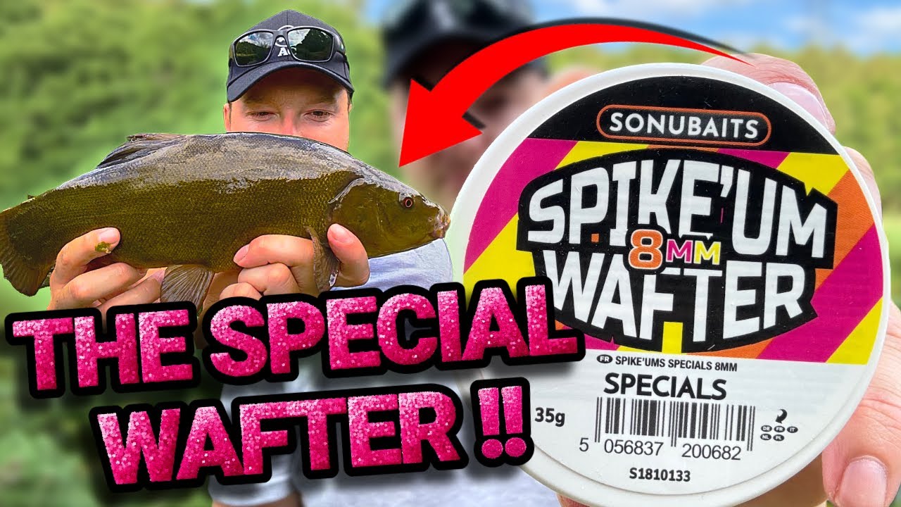 EPIC Fish Battle On The SonuBaits Spike'um Wafters Specials (You Won’t Believe WHAT HAPPENED!!)