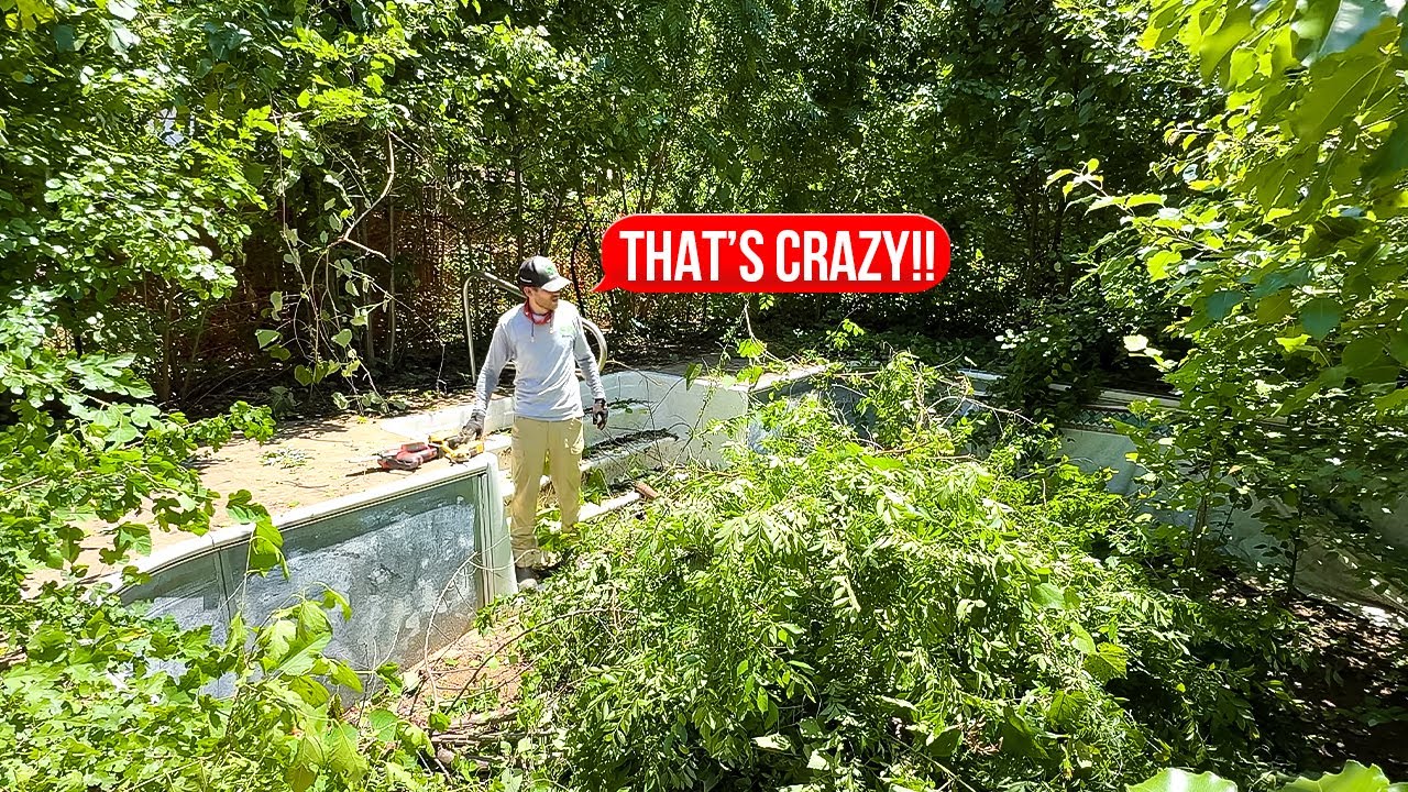We Found a Hidden Pool!!!