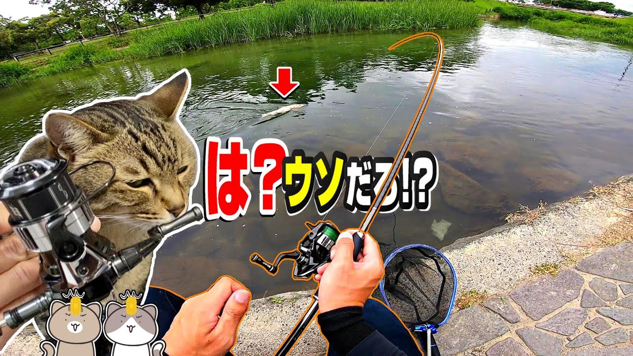 ステラより巻き重23ヴァンキッシュがステラ超え!?実釣インプレ中に想定外の大物とバトル勃発！【バンキッシュ】