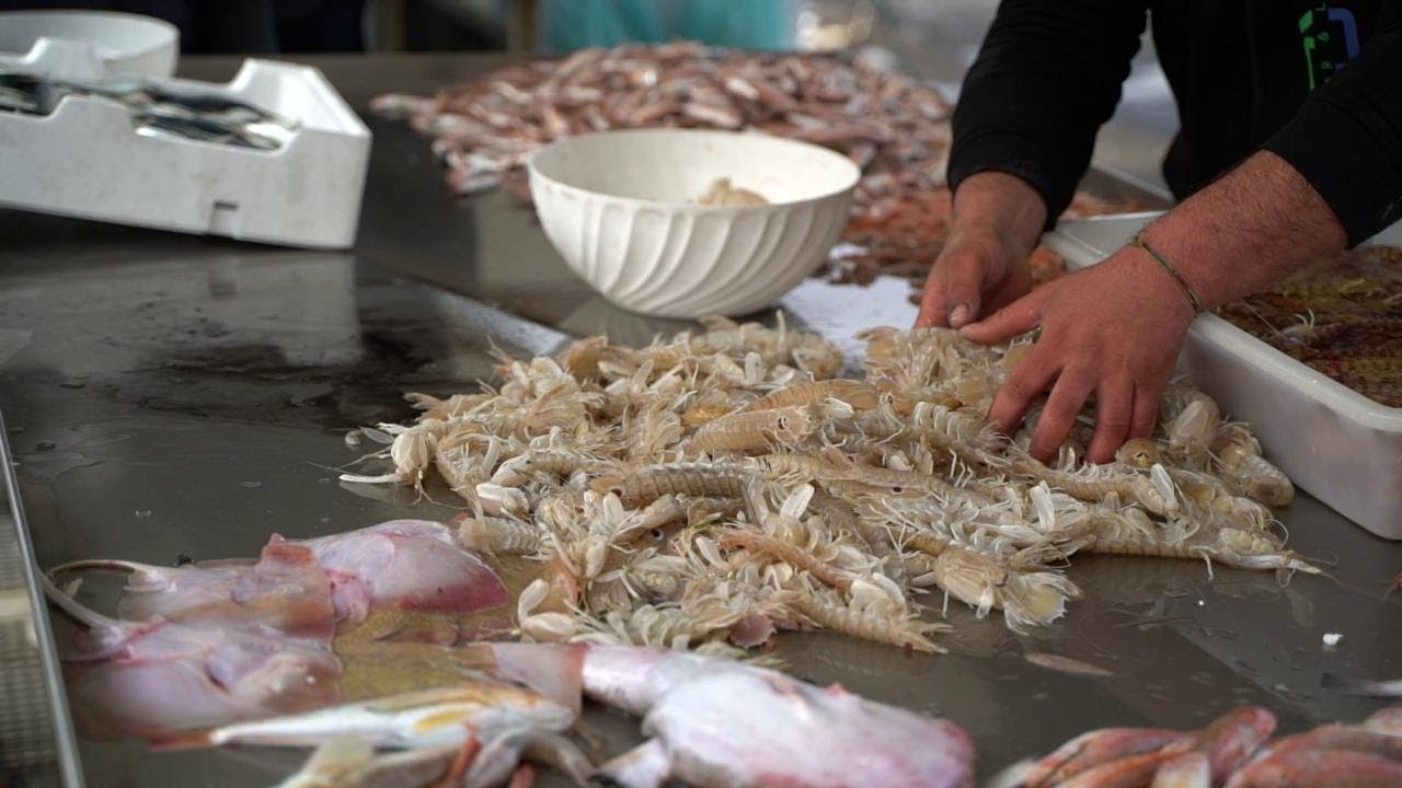 Caro gasolio, la protesta dei pescatori a Bari: 