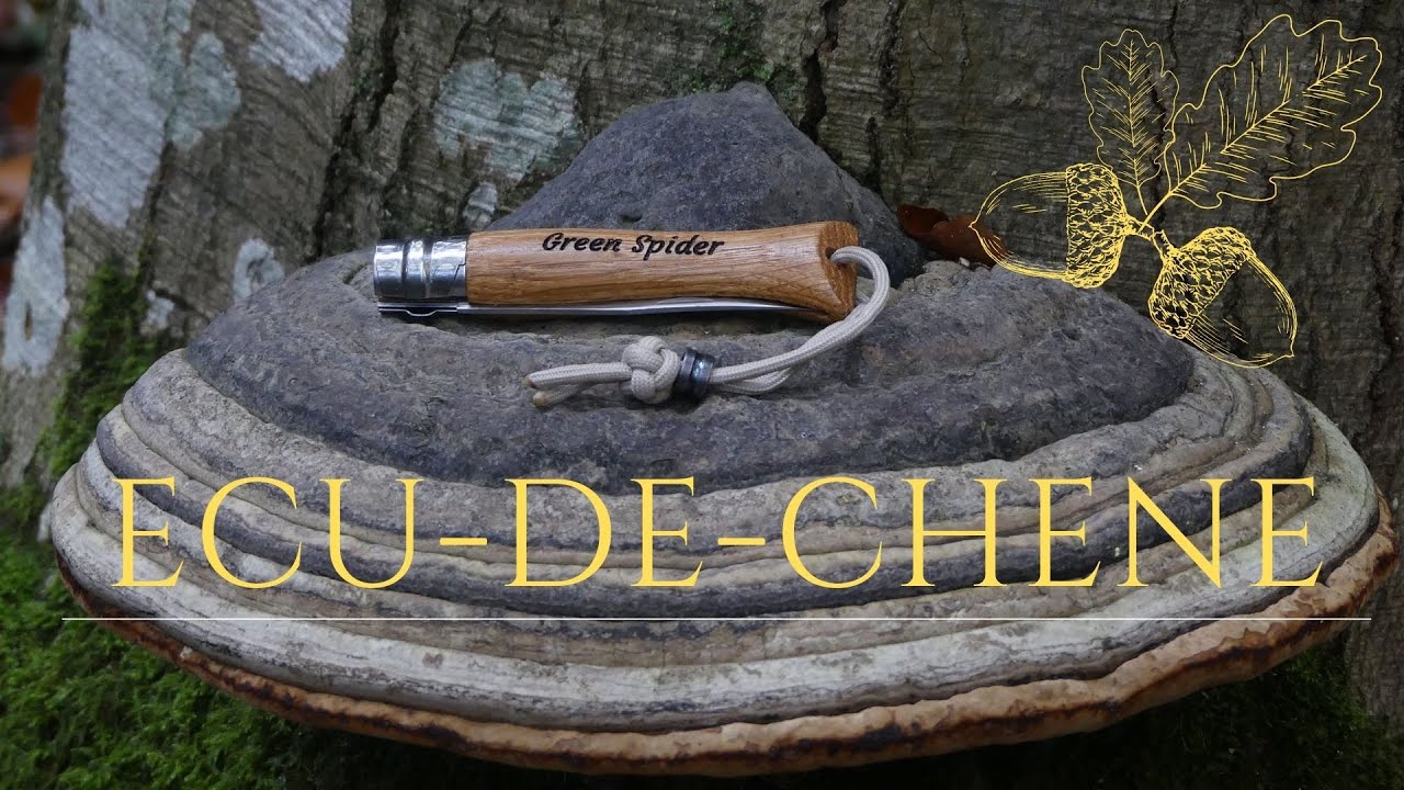 Ecu de Chêne - Opinel n°8 et n°9