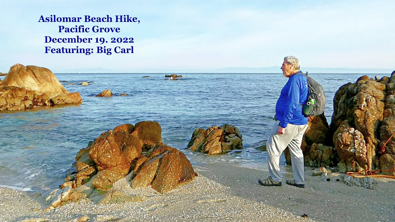 Monterey County - Asilomar Beach Hike