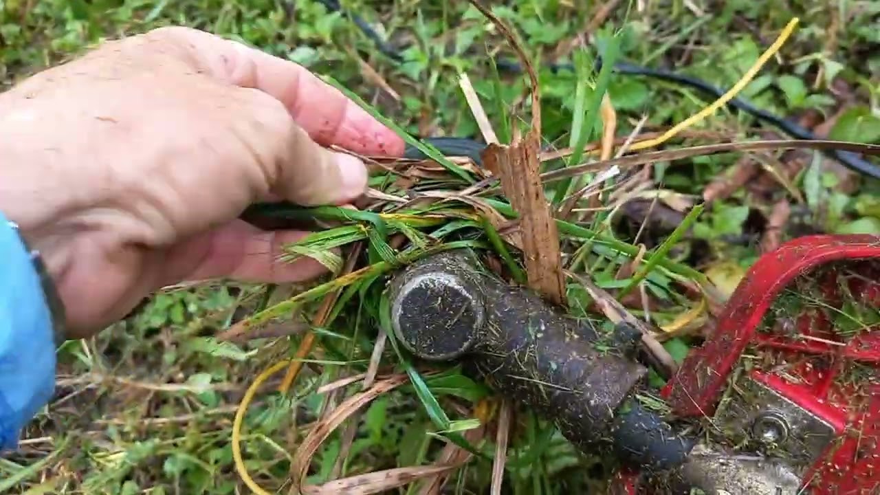 Limpando o terreno, com roçadeira eletrica