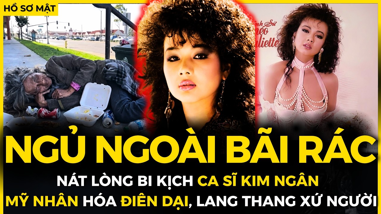 VÌ SAO CA SĨ KIM NGÂN LANG THANG ĐƯỜNG PHỐ ? PHÁT SÚNG OAN NGHIỆT LÀM MỸ NHÂN HÓA ĐIÊN | Hồ Sơ Mật