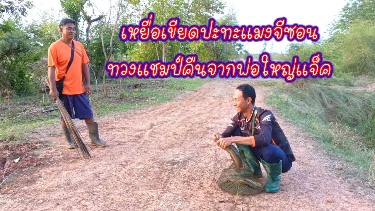 มีแต่บักอ้าก!!ดวลเบ็ดกับพ่อใหญ่แจ็ค เขียดโม้ปะทะแมงจีซอน แต่ละตัวคันแทบหัก