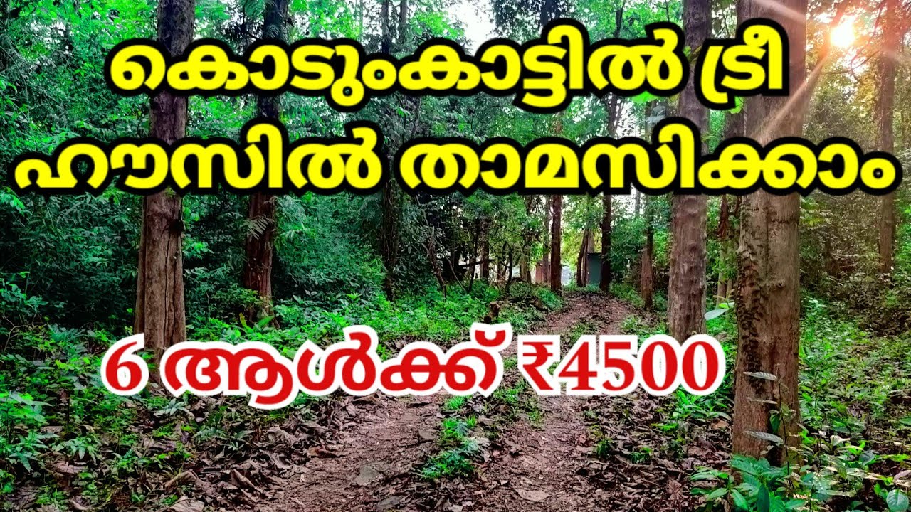 Deep Forest Stay For Family |Thattekkad Bird Sanctuary |Tree House Stay at Forest |Thattekkad|Part 2