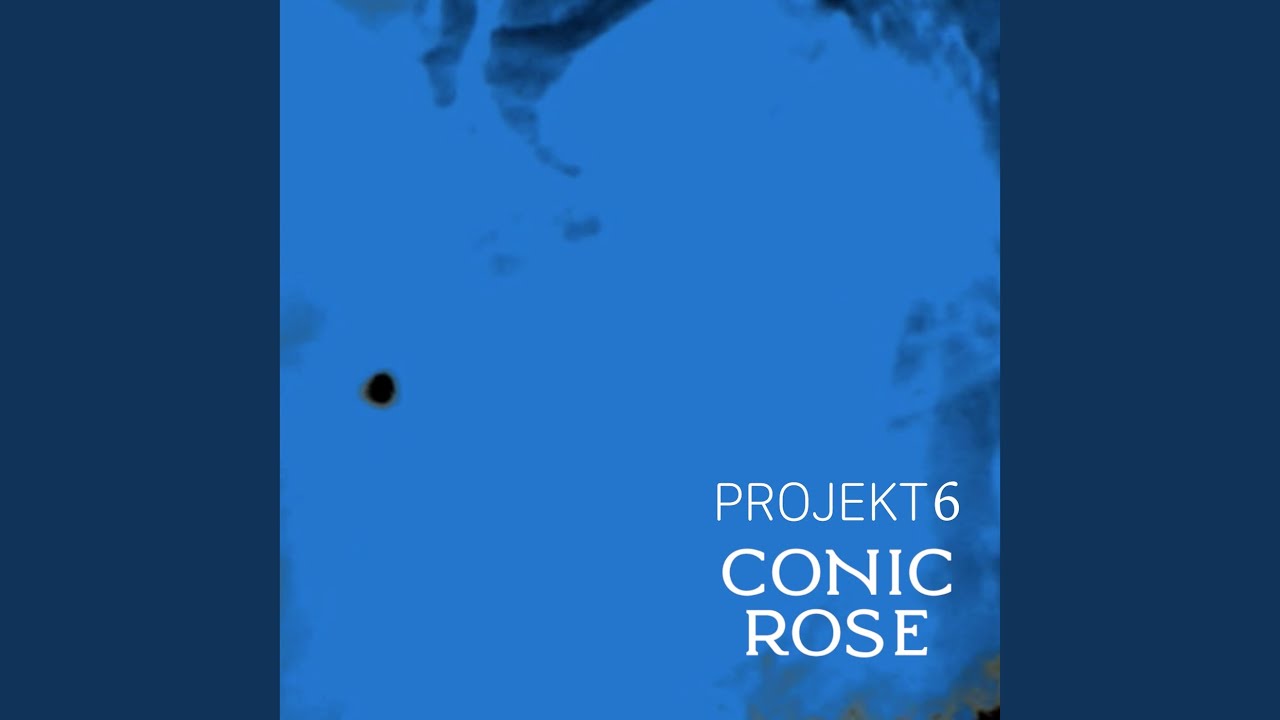Projekt 6