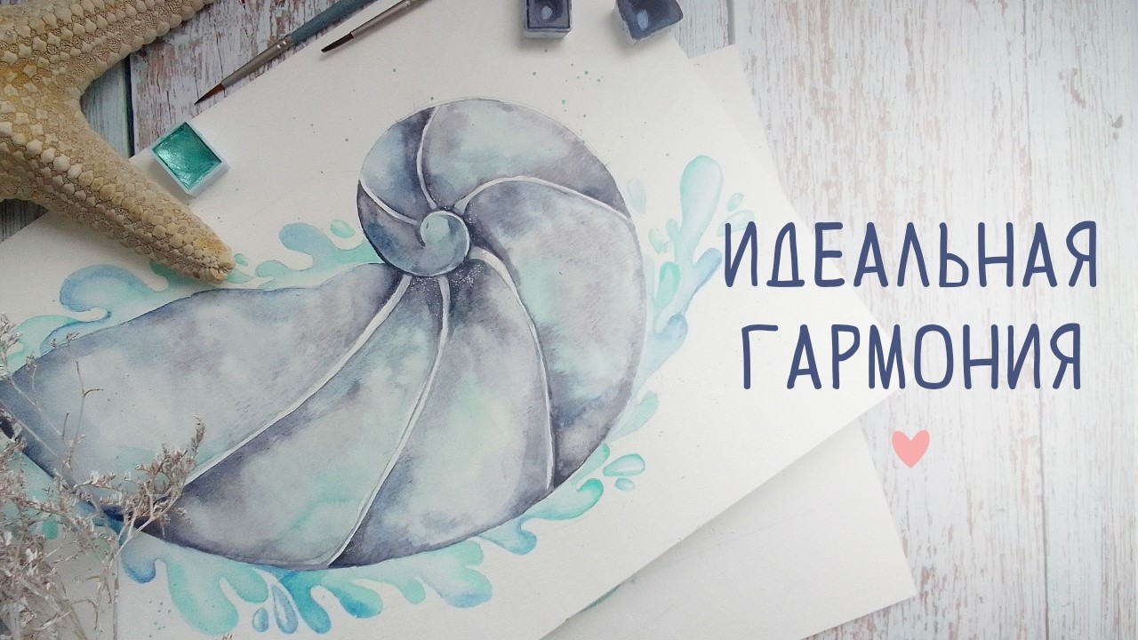 Спираль Фибоначчи: как нарисовать морскую ракушку акварелью