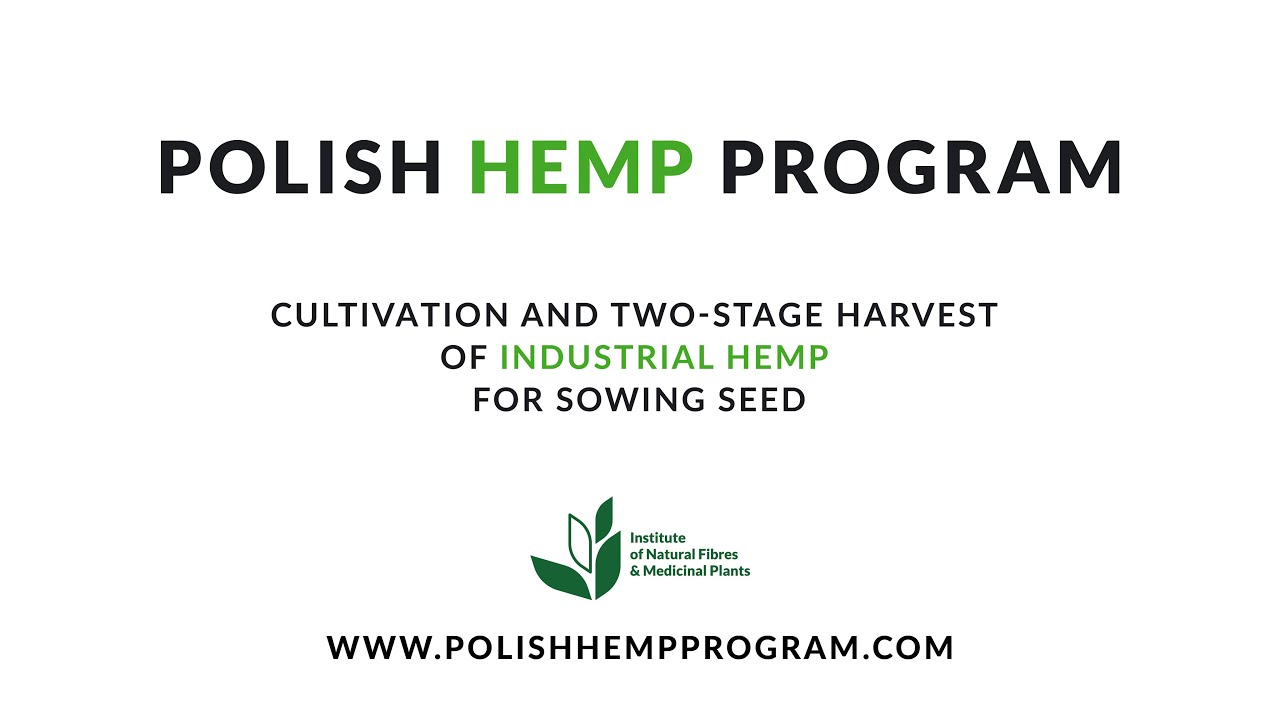 About Polish Hemp Program. Cultivation and two-stage harvest of industrial hemp for sowing seed