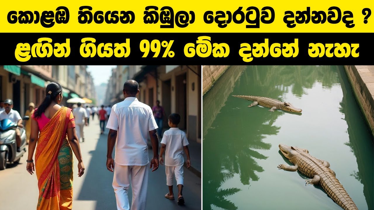 කොළඹ තියෙන කිඹුලා දොරටුව දන්නවද ? ළඟින් ගියත් 99% මේක දන්නේ නැහැ | #colombo #wishwadanuma #iqmeteray