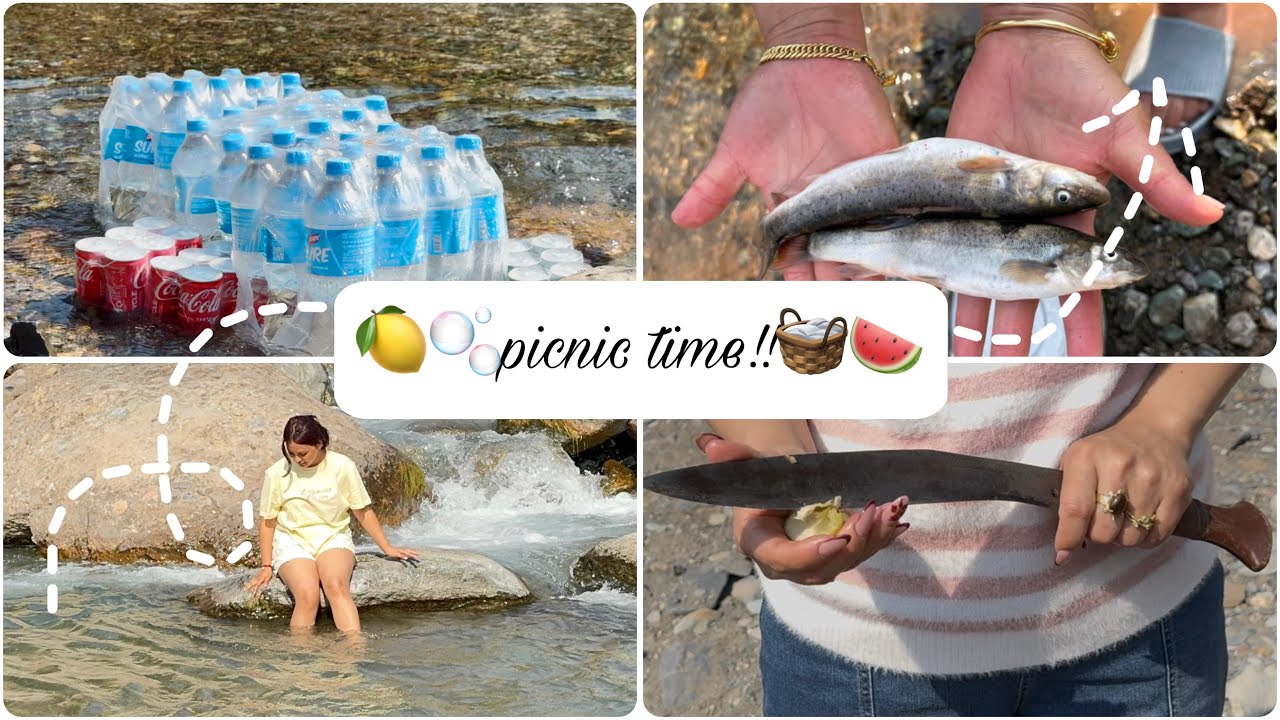 🧺🍋PICNIC TIME!!🍲🫧