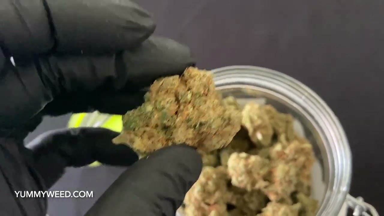 Orange Bud HHC Yummyweed