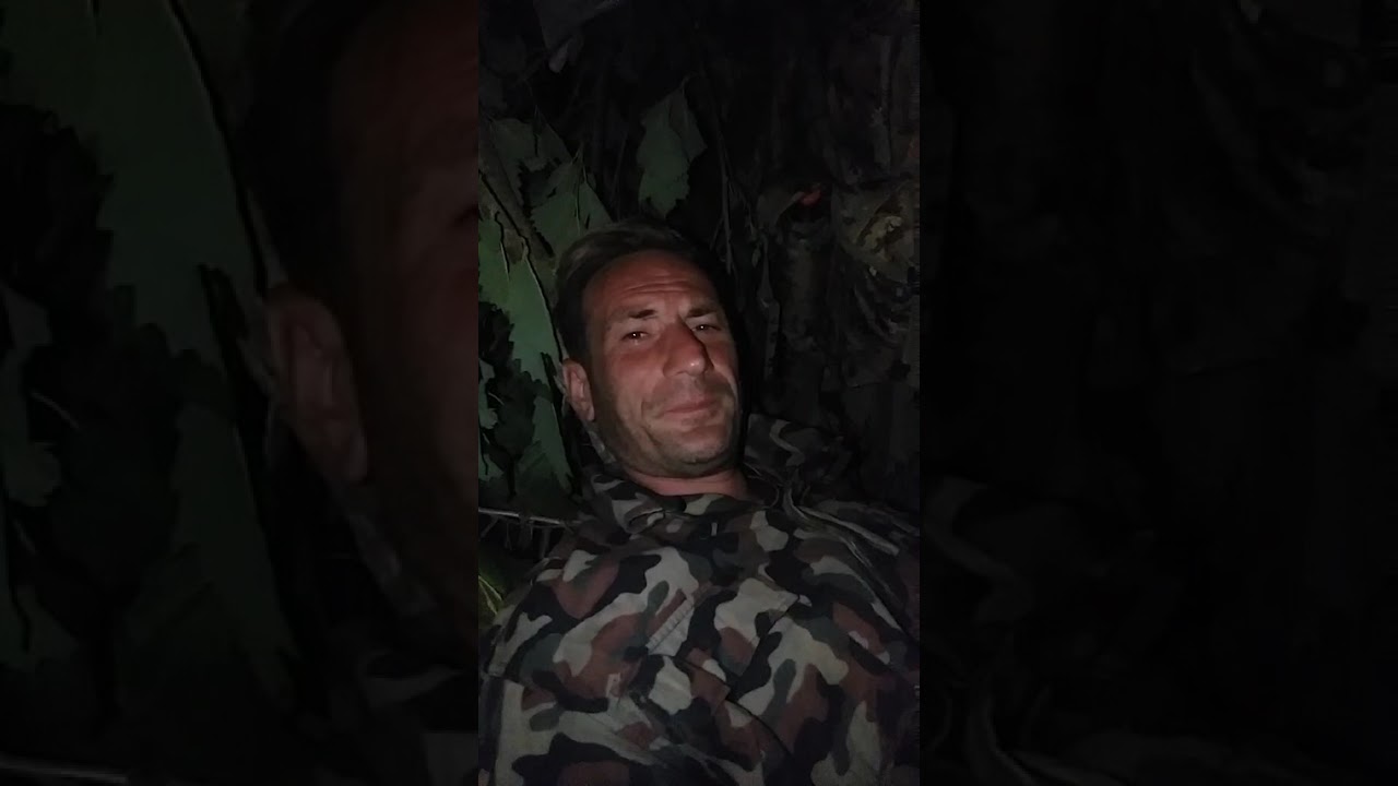 ღამე ტყეში, 😃უძილობა და ბოდვები